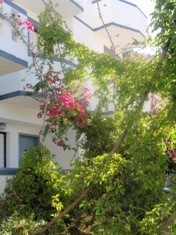 Fevro Hotel Agia Galini Quarto foto