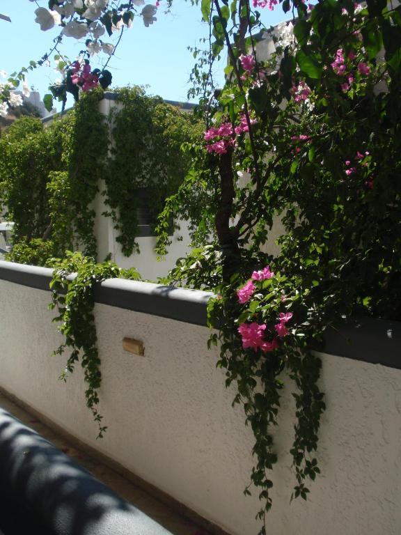 Fevro Hotel Agia Galini Quarto foto