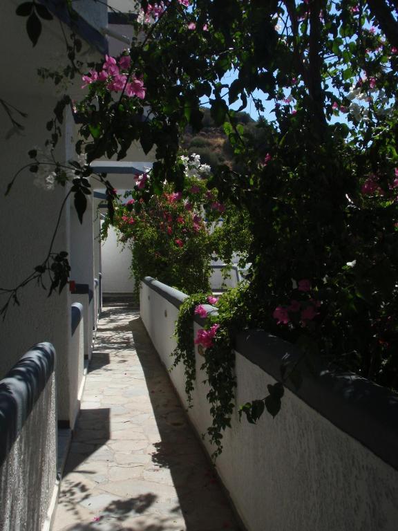 Fevro Hotel Agia Galini Quarto foto